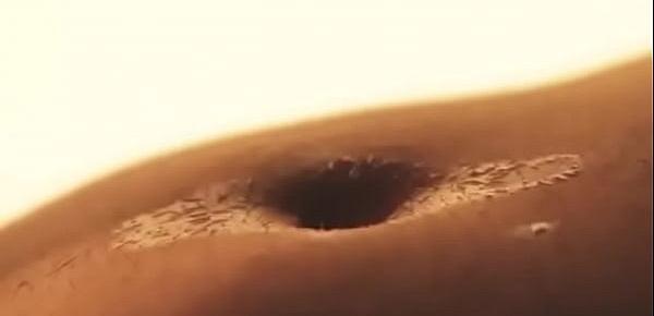  The Subtle Beauty of a Belly Button